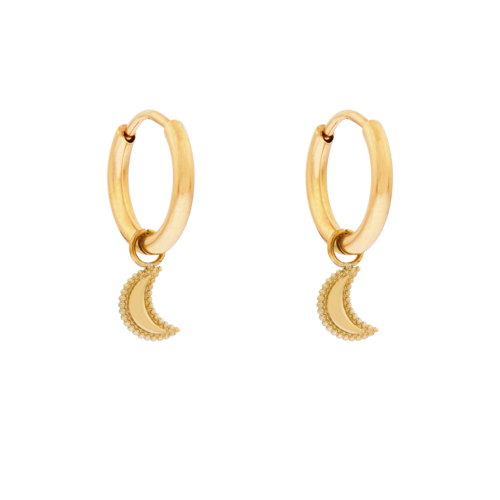 Oorbellen klein met hanger gestippeld maantje goud Oorbellen klein met hanger gestippeld maantje goud