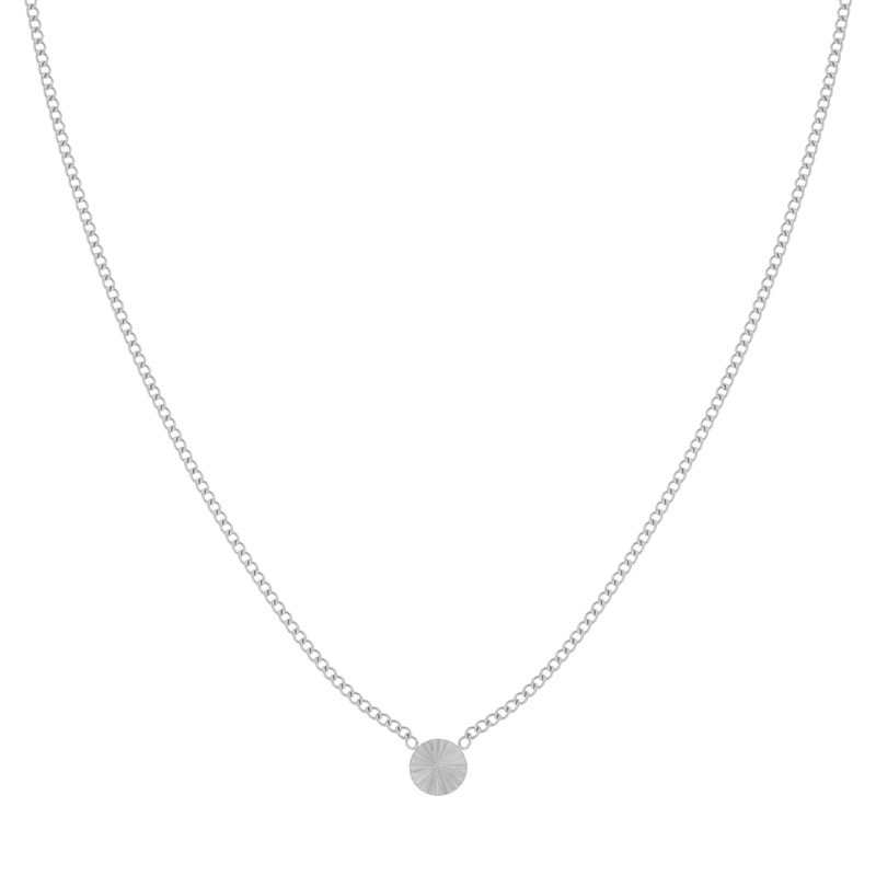 Ketting gevlamd muntje zilver Ketting gevlamd muntje zilver