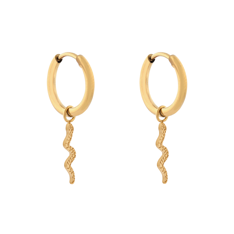 Oorbellen klein met hanger slang goud
